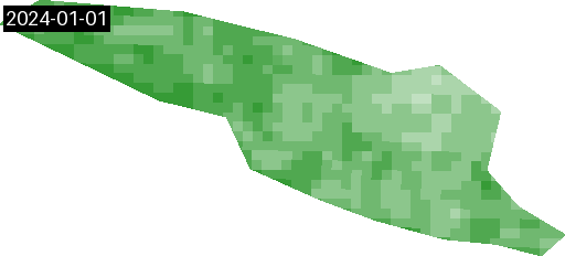 Animated annual NDVI composite for the Chiapas pilot site